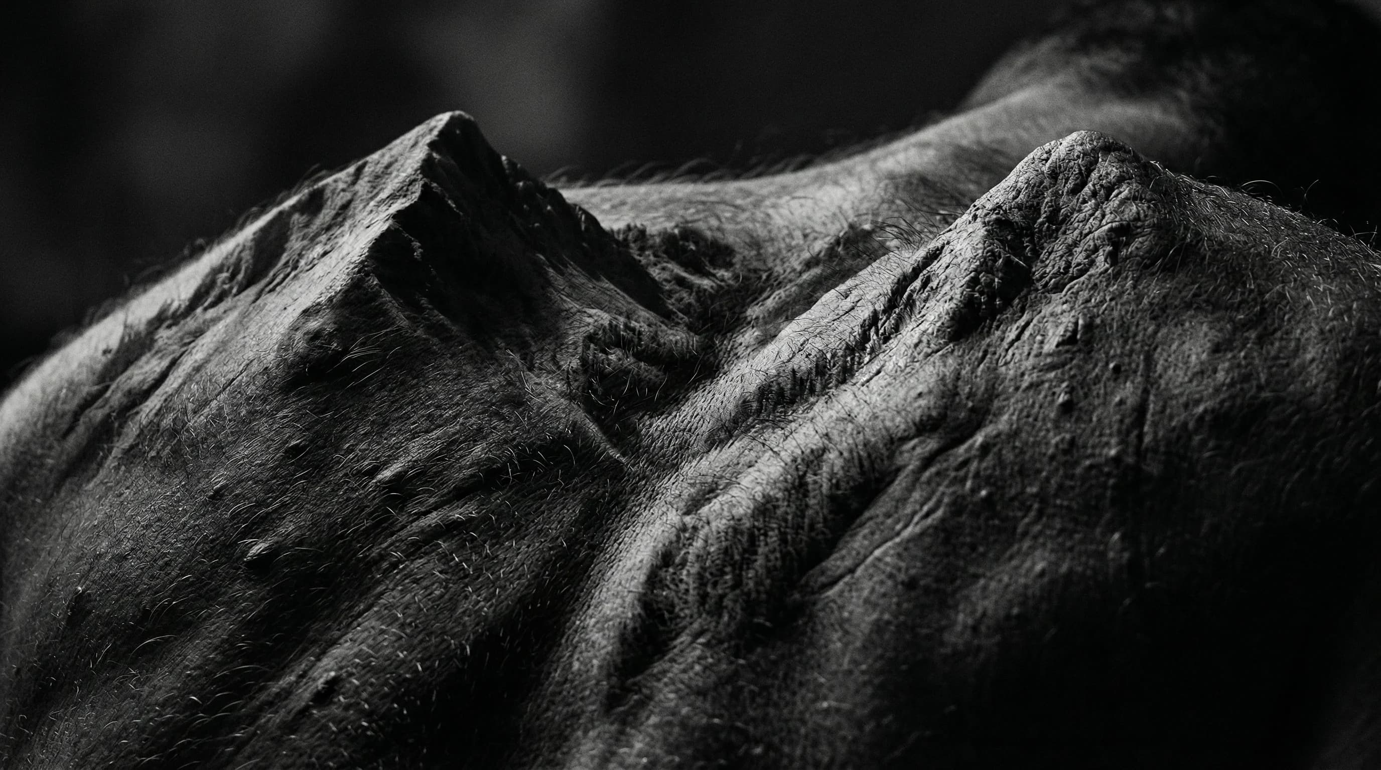 Gallery image by Brompter